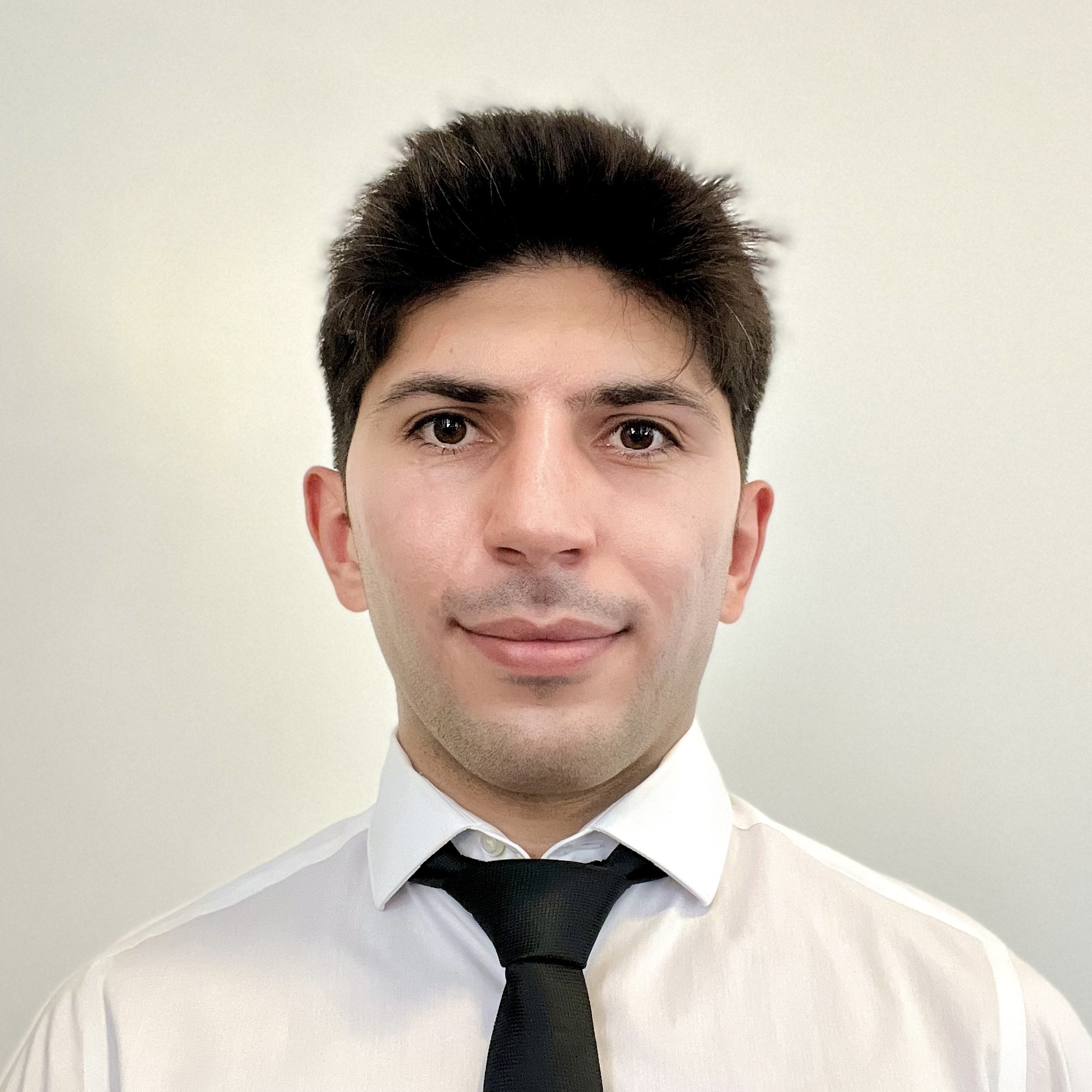 Mehdi Zafari